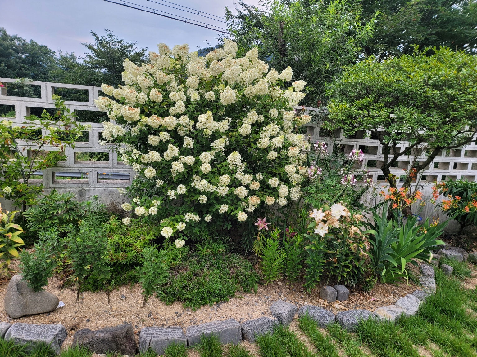 3067302113_3TshRqrz_dc598ba8a844bf53e62a3d60a5846fd9c0ec6e4b.jpg 이미지크게보기
